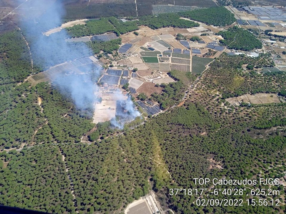 Imagen aérea del fuego registrado en el término municipal de Bonares en cuya extinción trabajan los efectivos del Infoca