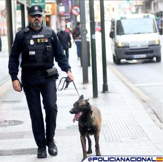 Un agente de patrulla con el perro policía