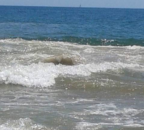 Un remolino se traga a varios bañistas en la playa de Mazagón