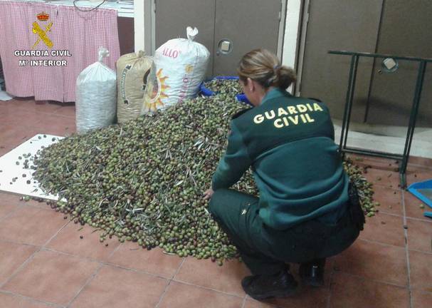 La Guardia Civil devuelve a su propietario 500 kilos de aceitunas robadas