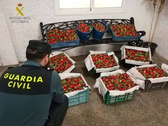La Subdelegación del Gobierno cifra en un 13% la bajada de los robos en el campo