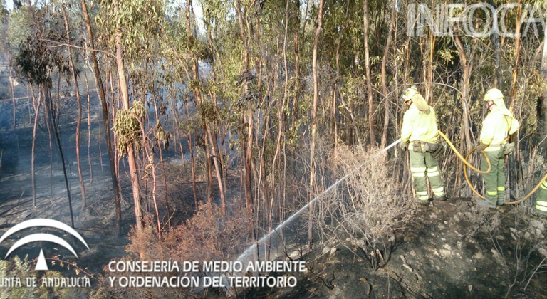 El incendio de Niebla ha calcinado 3,5 hectáreas de eucalipto