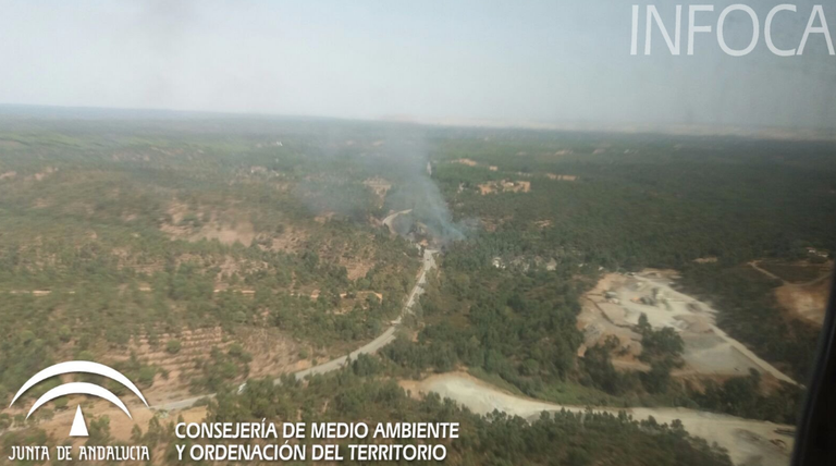 Arde un paraje de eucaliptos en Niebla