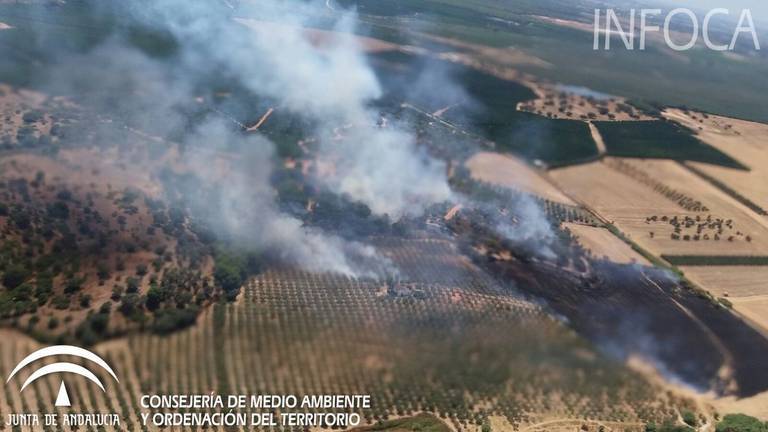 El incendio de Gibraleón ha arrasado cuatro hectáreas