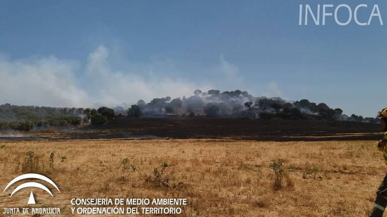 Extinguido el incendio de Gibraleón