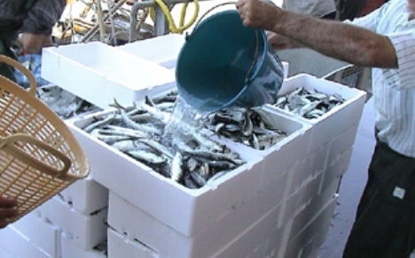Los marineros de Punta e Isla, en pie de guerra por la prohibición de la sardina