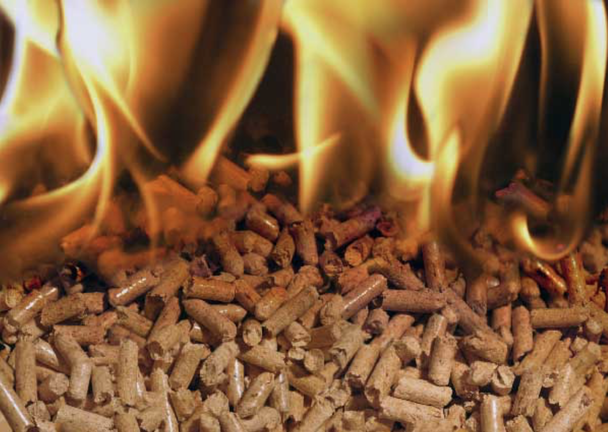 La fábrica de pellets de Niebla se retrasa