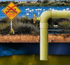La Eurocámara duda de la idoneidad del gasoducto de Gas Natural en Doñana
