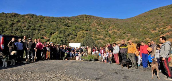 Una masiva plantación de árboles reivindica la restauración de zonas afectadas por los incendios y por la seca