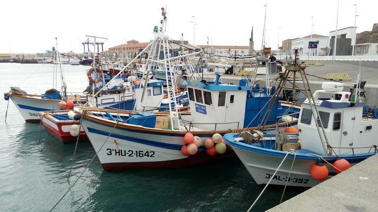 Barcos amarrados en el Puerto de Isla Cristina