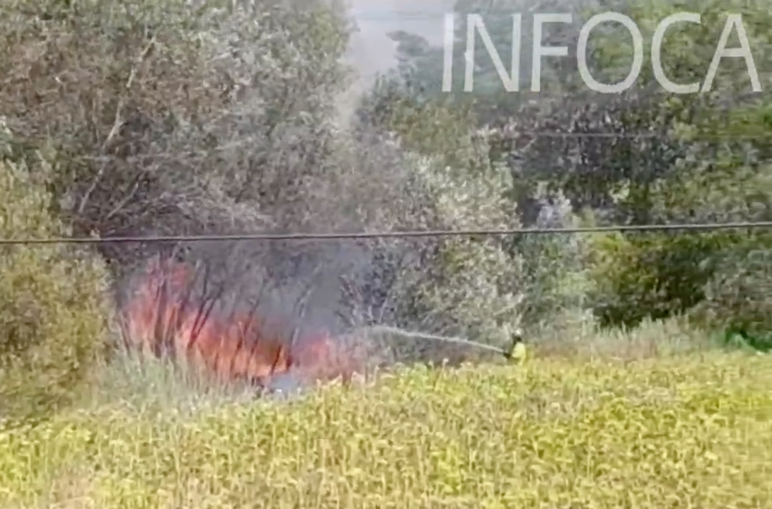 Efectivos del Infoca sofocan un incendio en Almonte