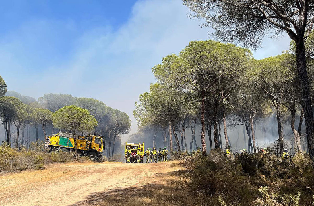 Bomberos forestales desplegándose sobre el terreno