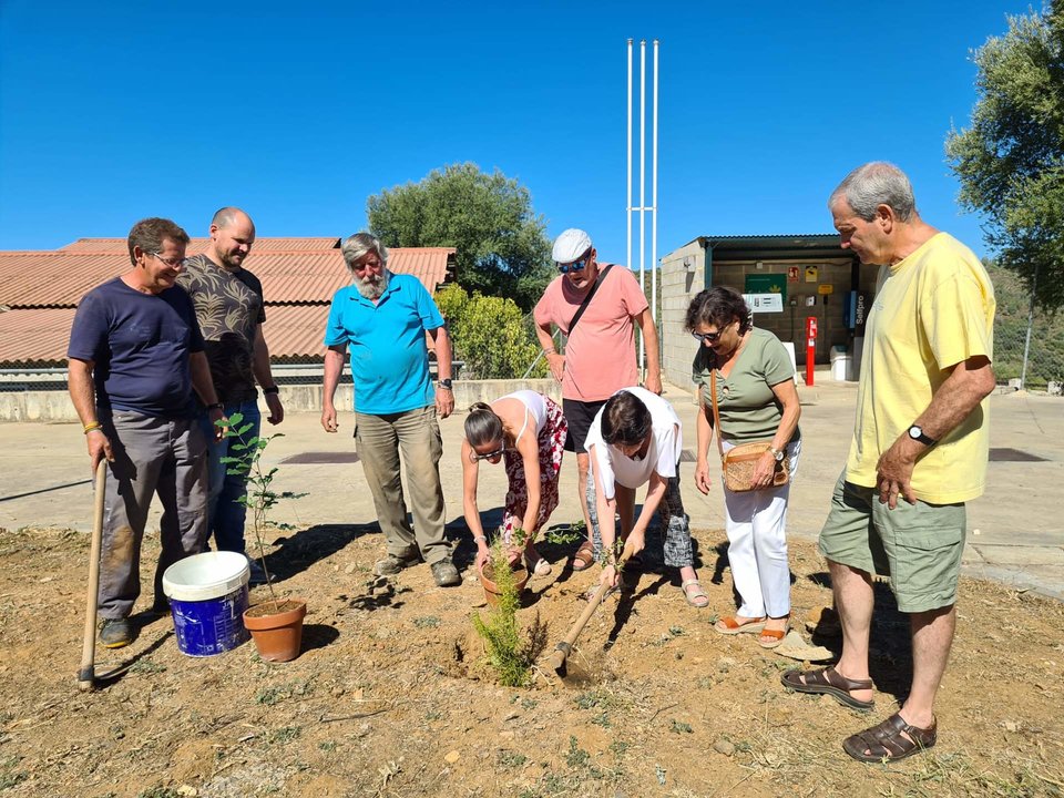 Plantación de un nuevo árbol en Berrocal
