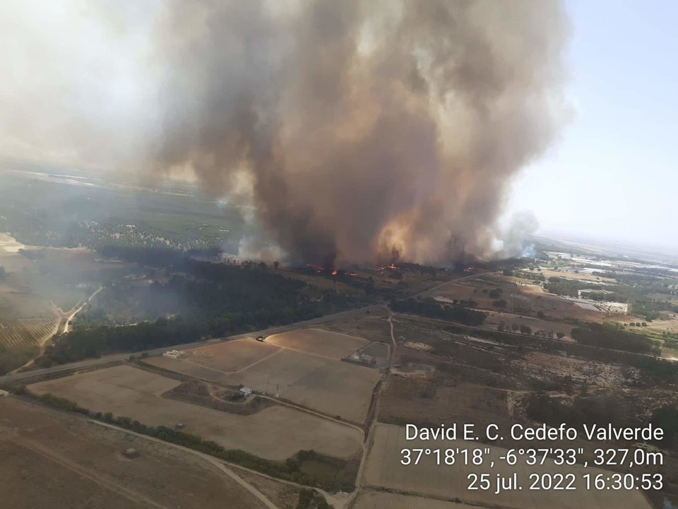 Último incendio en el entorno de Doñana.