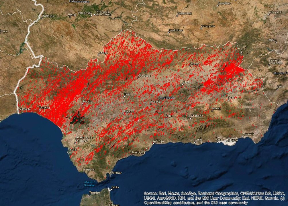 Gráfico de las rayos caídos en Andalucía en la jornada del sábado
