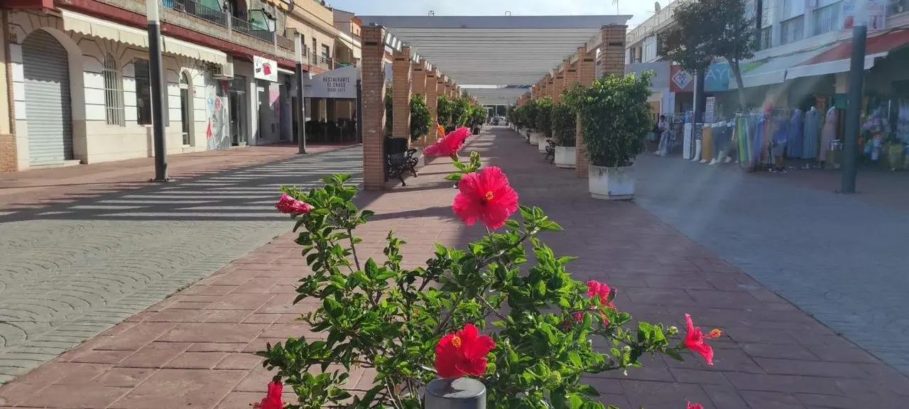 Imagen de Mazagón.