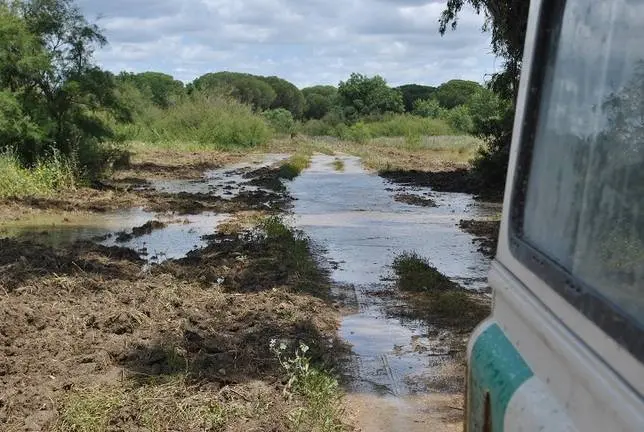 Fotos: Emergencias Andaluc&iacute;a 112