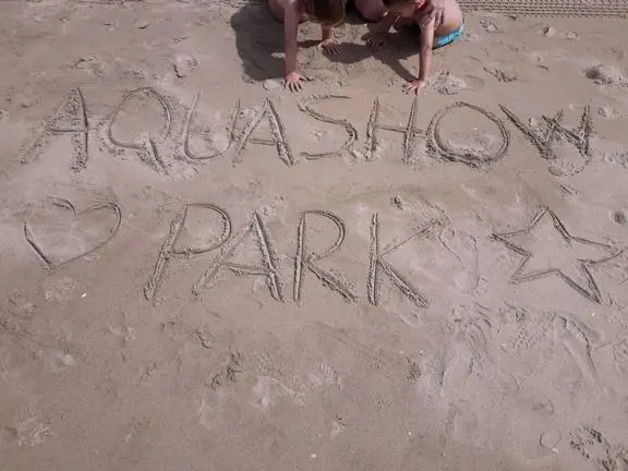 DIVERSI&Oacute;N INIGUALABLE - Cinta Castilla