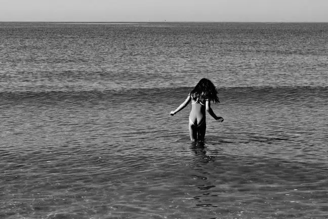 CURIOSEANDO - L&aacute;zaro Pereira