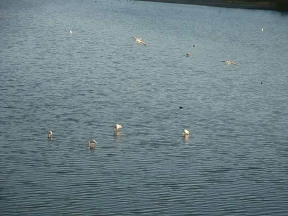 BEBEN Y BEBEN - Fernando Rodr&iacute;guez