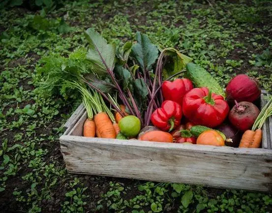 La industria agroalimentaria sigue consolidándose como principal motor de la economía onubense