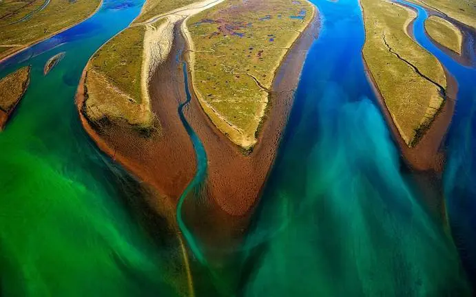 Marismas del Odiel a vista de pájaro. (Foto: Francisco Mingorance)