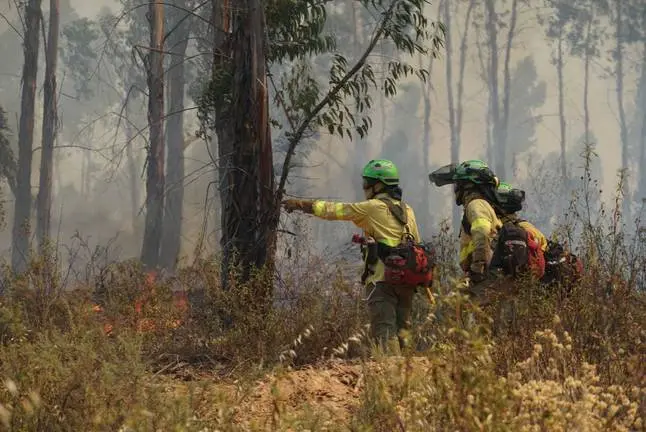  Bomberos del Infoca en el incendio. (Foto: Plan Infoca)