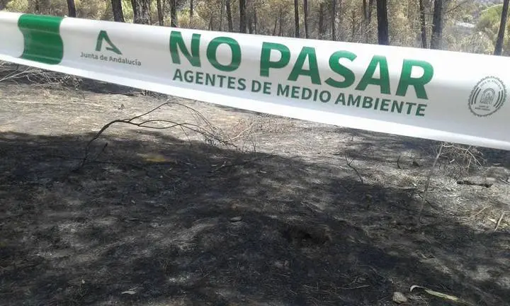 Zona del incendio acotada por los investigadores.