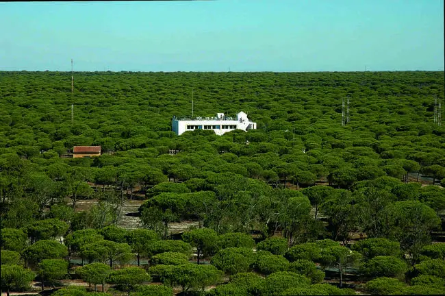 Imagen panorámica del INTA en Mazagón
