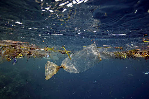 Plastic bag floating underwater at Pulau Bunaken