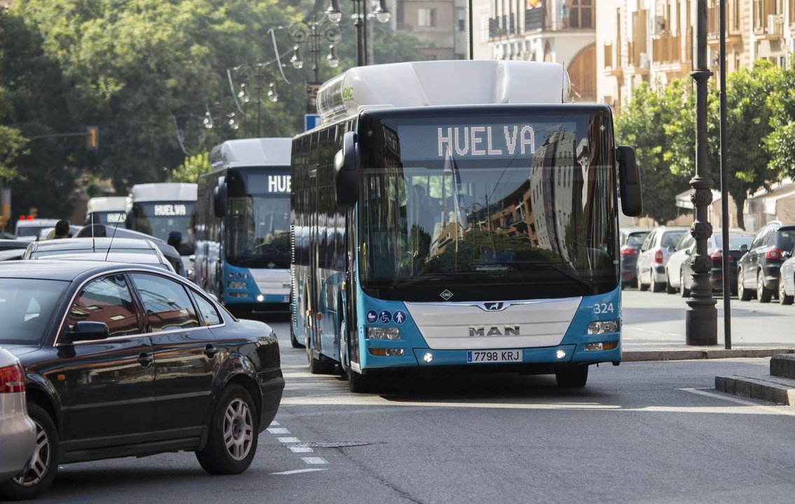 Autobuses urbanos circulando por la capital.