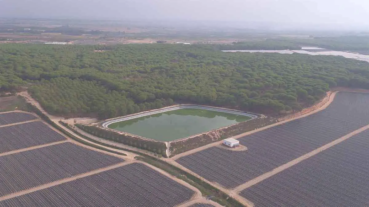 Cultivos en la zona de Doñana (Foto: WWF)