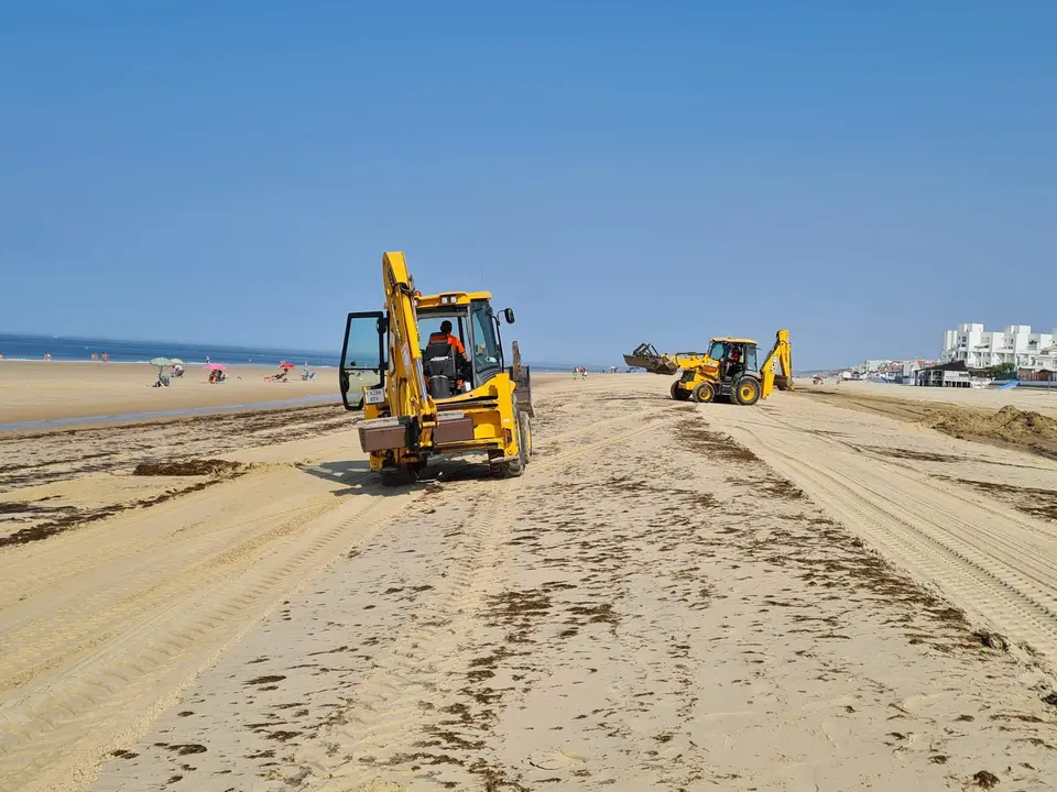 El Ayuntamiento de Almonte elimina de algas del litoral