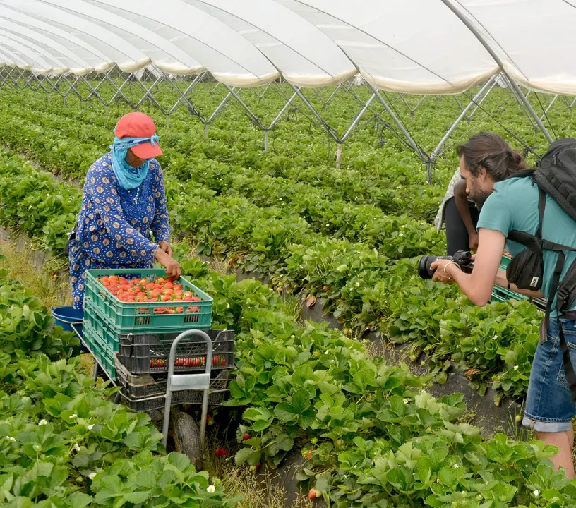 Zona de riegos legales en el entorno de Doñana.