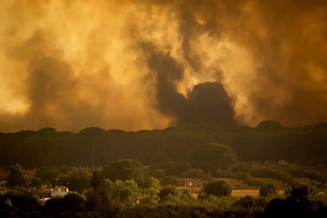 Panorámica del fuego que asoló los pinares de bonares