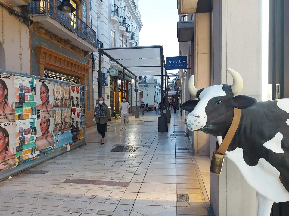 Centro Comercial abierto de Huelva.