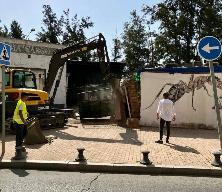 Trabajos derribo Palma y Cargo en la capital.