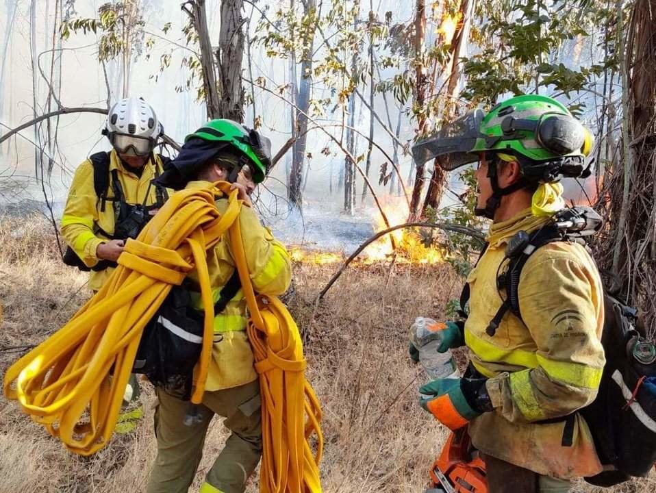 Bomberos forestales en el incendio de Bonares y Almonte de este verano.
