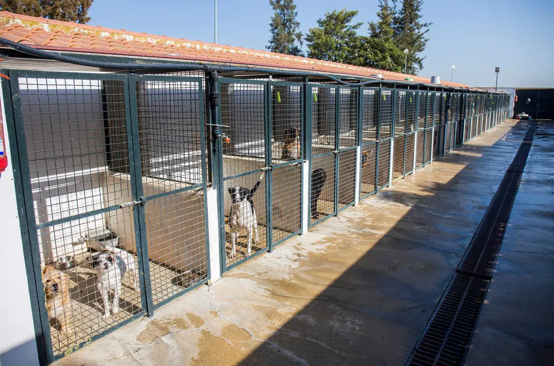 Centro municipal Atención y Acogida Animal