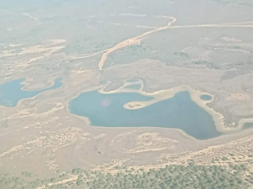 Lagunas de Doñana, casi sin agua