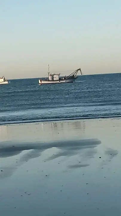 Pesca cerca de la orilla