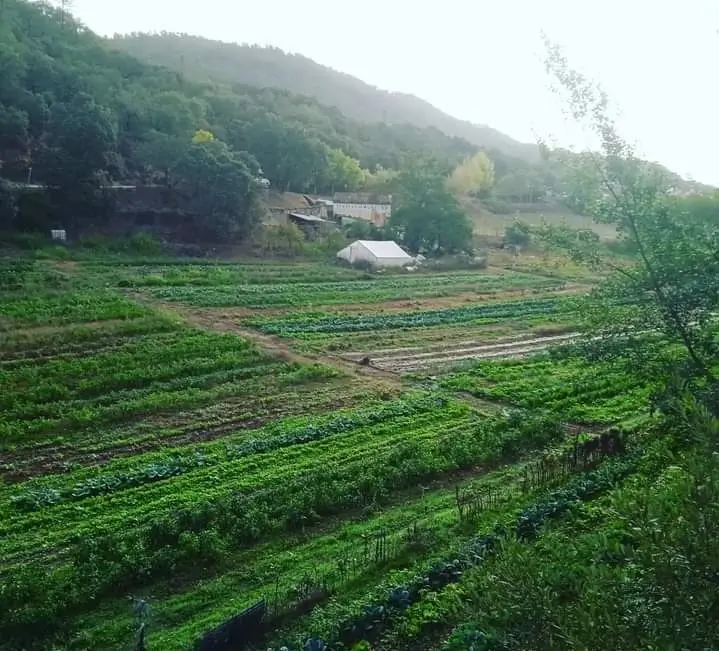 Tierras del Múrtiga