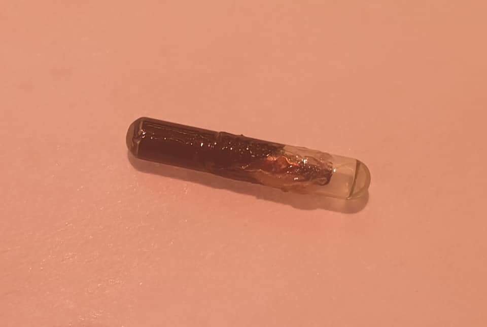 Microchip encontrado en el interior del jamón
