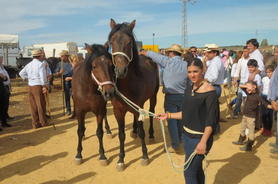 311879977_489832293177329_4989750723820190018_n