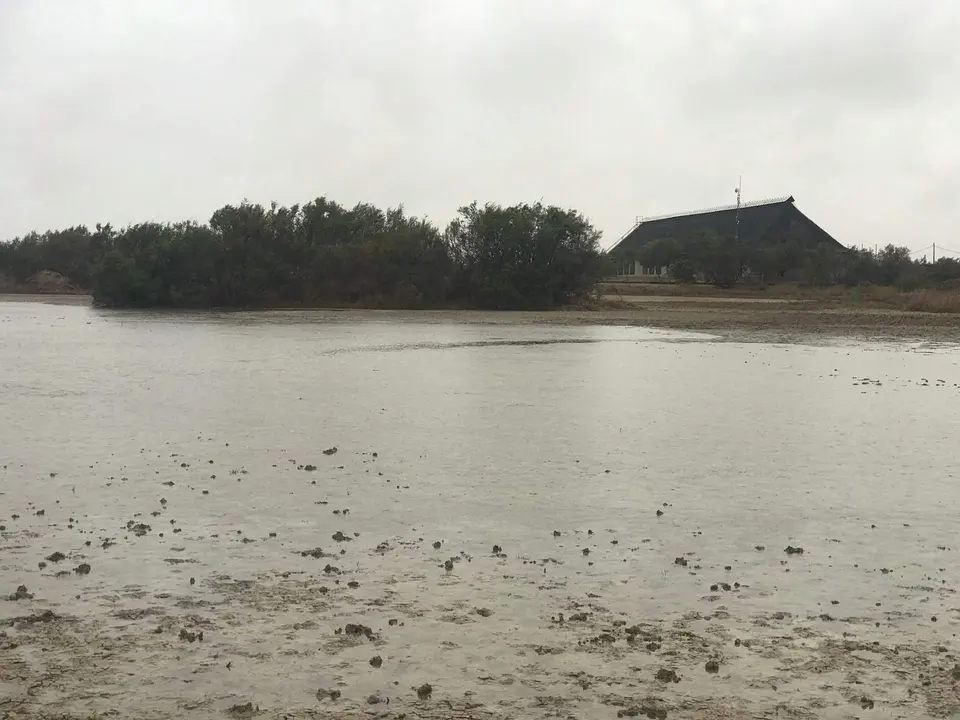 Laguna del centro de visitantes José Antonio Valverde