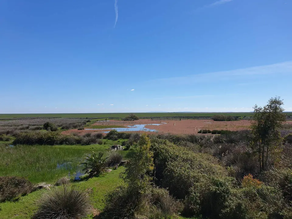 Panorámica del Espacio Natural