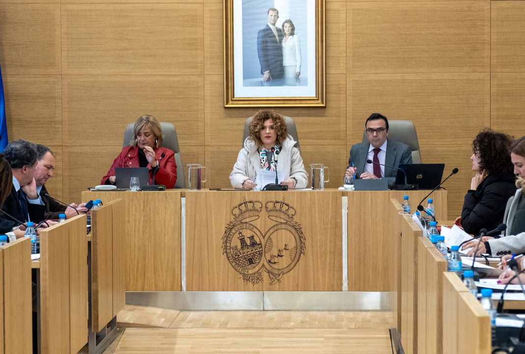 Pleno provincial en la Diputación