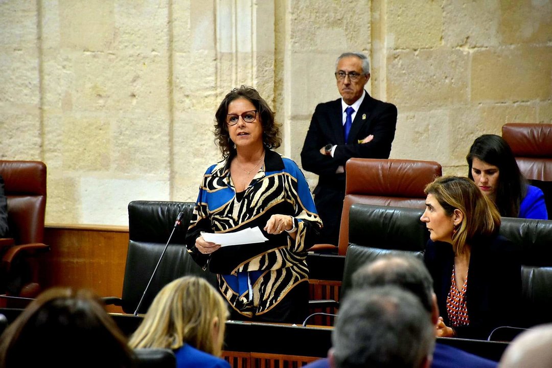 La consejera Catalina García en el Parlamento