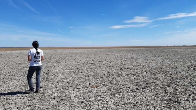 Una voluntaria observa una zona seca del Parque Nacional