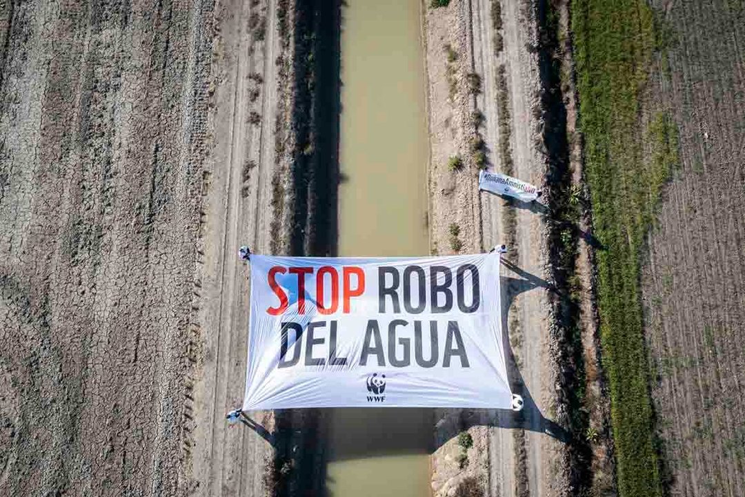 Campaña contra el 'robo del agua' de WWF en Europa